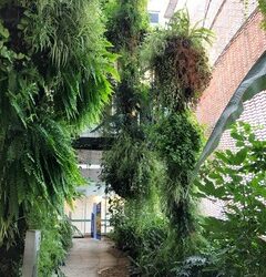 Plantas en la arquitectura 🌿🏢