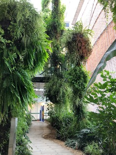 Plantas en la arquitectura 🌿🏢